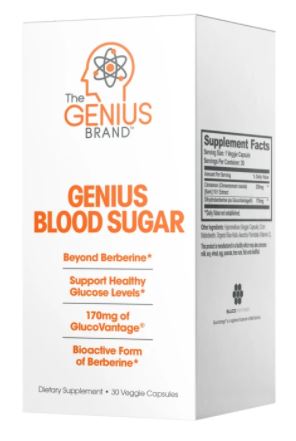 genius blood sugar support